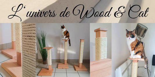 L-univers-de-Wood-Cat Wood and Cat