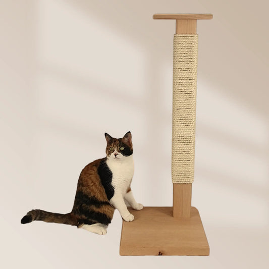 Grand griffoir pour chat en bois massif de qualité supérieur et durable