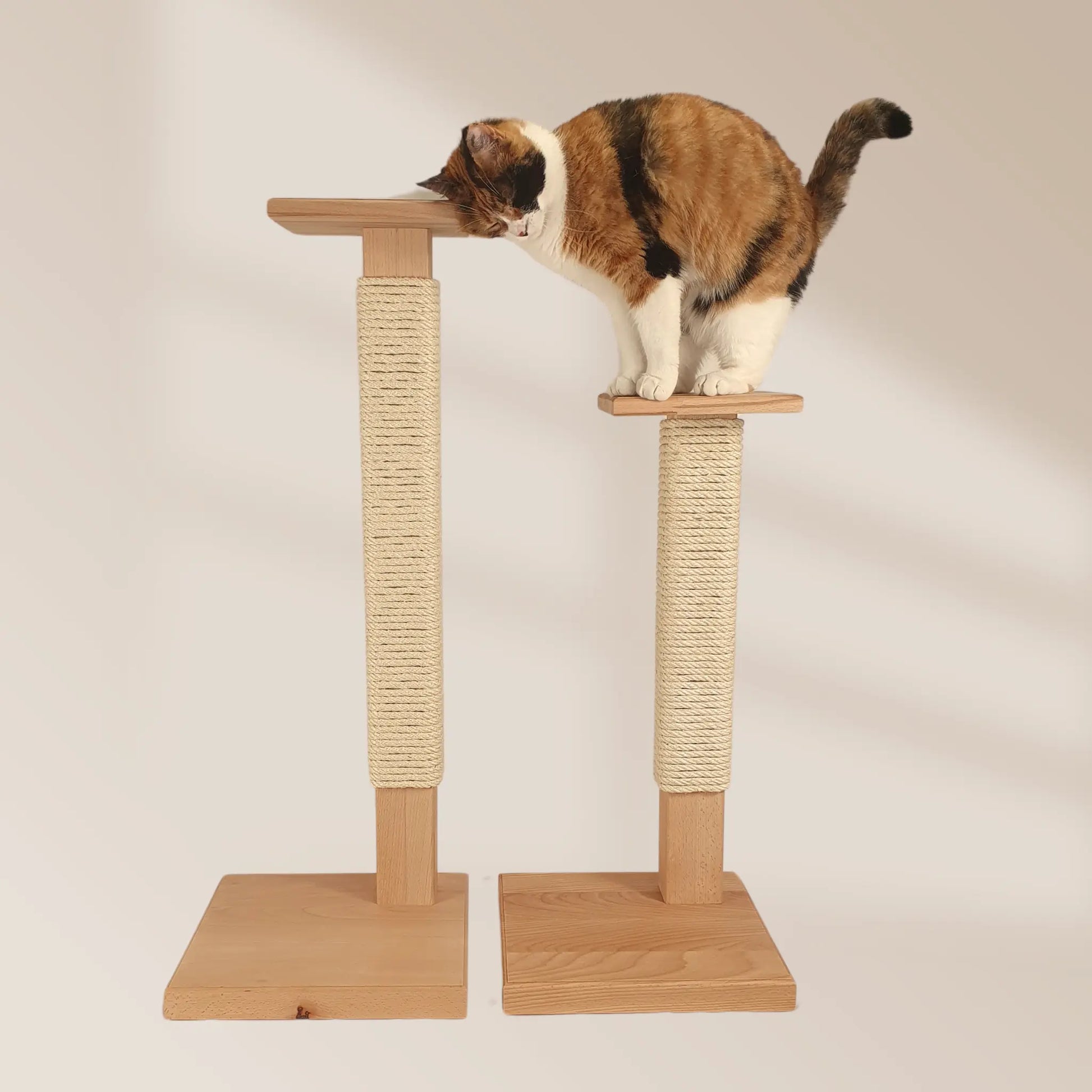 Grand griffoir pour chat en bois massif de qualité supérieur et durable